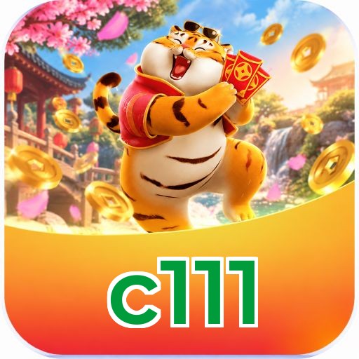 c111 Seguro SSL